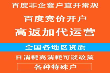 SEM推广技巧：成功案例深度剖析